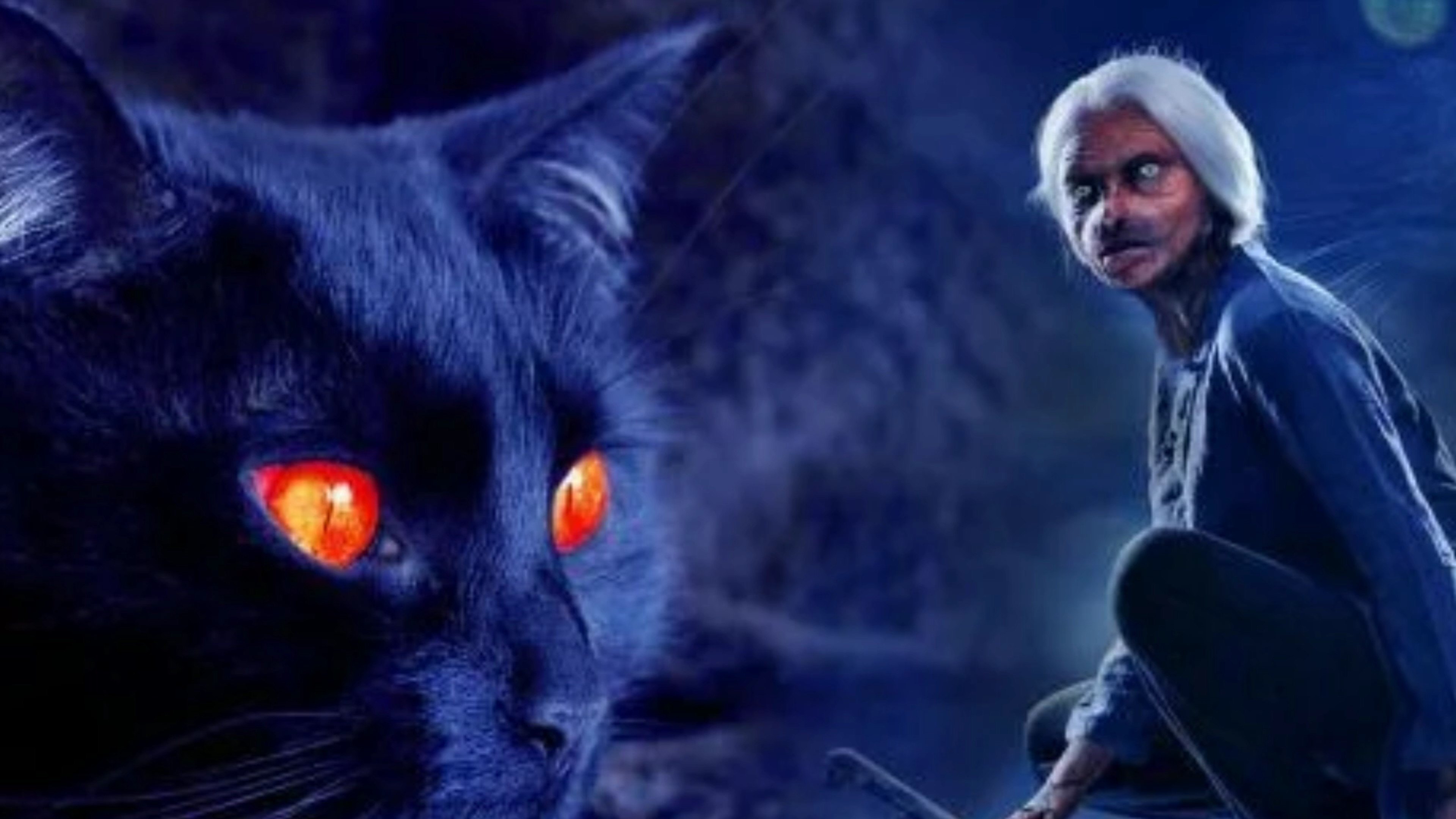 猫脸老太太图片很多人被猫脸老太太吓出冷汗