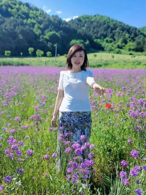 宁波海洋世界门票在哪买票最便宜 宁波海洋世界