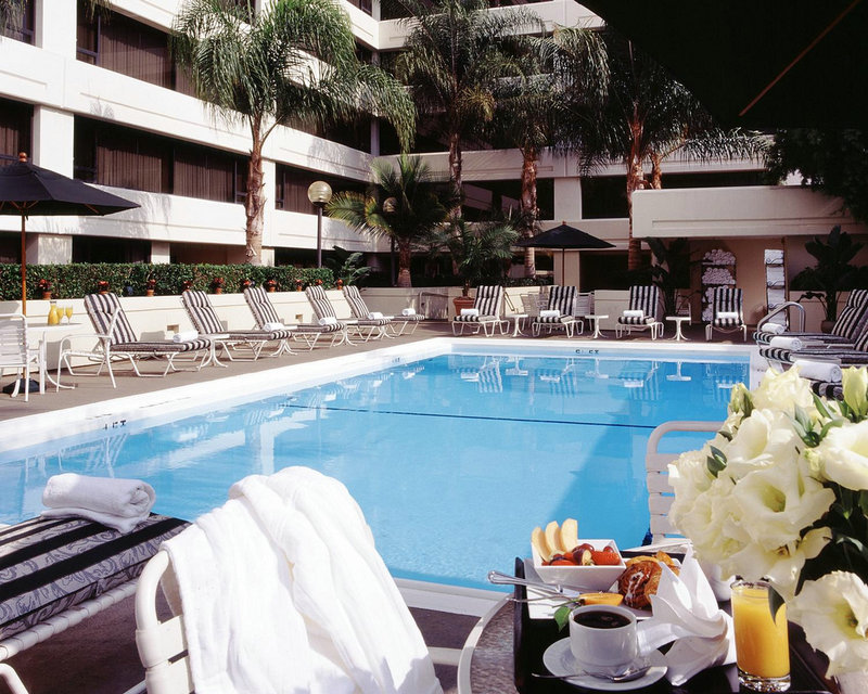 红色康乃馨_红色康乃馨代表什么意思