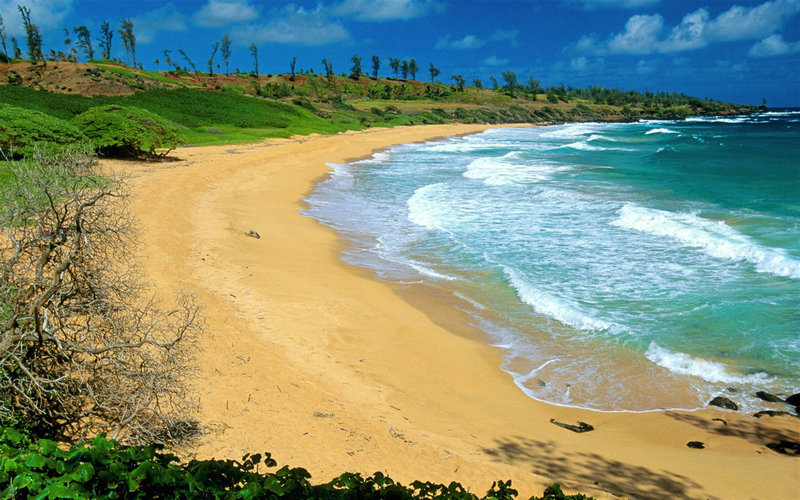 张柏芝采访谈谢贤 谢霆锋王菲隔空秀恩爱 谢