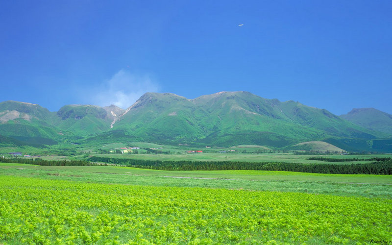 艾米亚当斯(艾米亚当斯豆瓣)