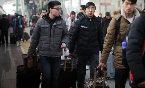 新扎师兄续集粤语 新扎师兄续集国语 新扎师兄续集粤语 新扎师兄续集国语